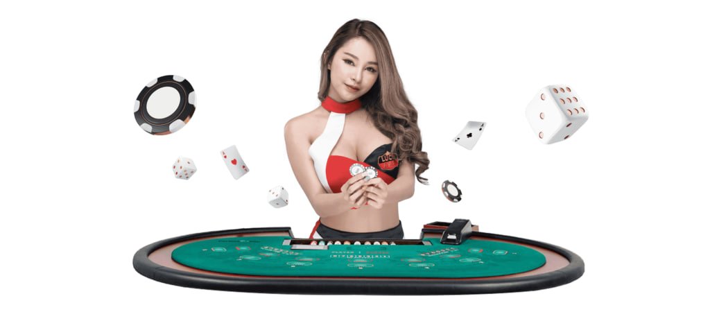 bs555